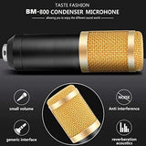 Powerpak BM-800 Professional Condenser Microphone Kit with Scissor Stand (Black)
