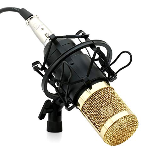 Powerpak BM 800 Black Professional Condenser Microphone (Requires phantom power or sound card)
