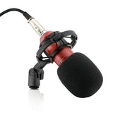 Powerpak BM-700 Coral Professional Studio Microphone (Requires phantom power or sound card)