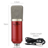 Powerpak BM-700 Red Professional Studio Microphone (Requires phantom power or sound card)